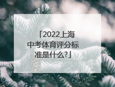 2022上海中考体育评分标准是什么?